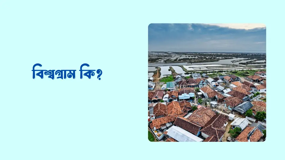 বিশ্বগ্রাম কি, বিশ্বগ্রামের সুবিধা ও অসুবিধা
