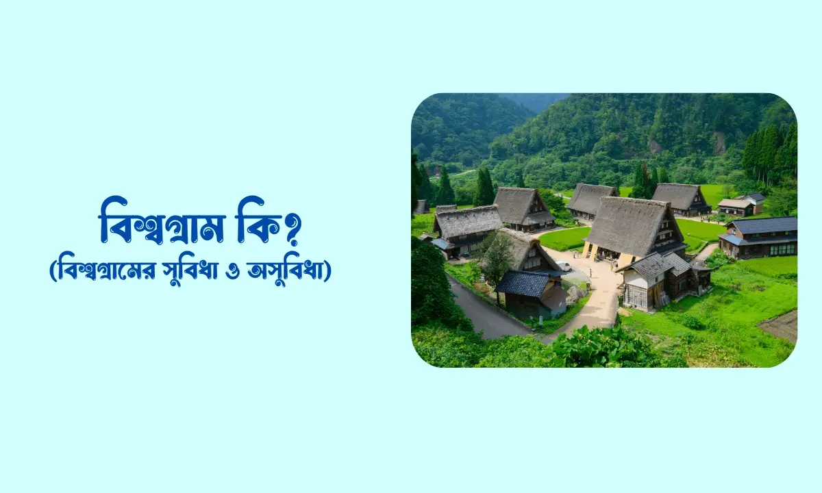 বিশ্বগ্রাম কি, বিশ্বগ্রামের সুবিধা ও অসুবিধা